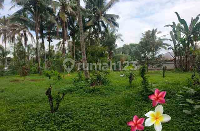 Tanah, di Payangan Luas 23 Are (Jtu 1234) Lingkungan Villa