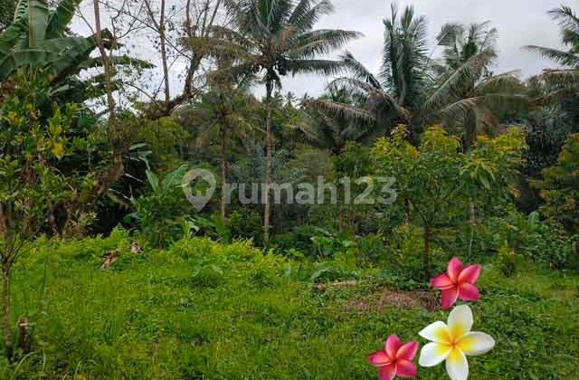 jtu 1150, tanah di tegallalang luas 15000m2 cocok villa jtu 1150, tanah di tegallalang luas 15000m2 cocok villa