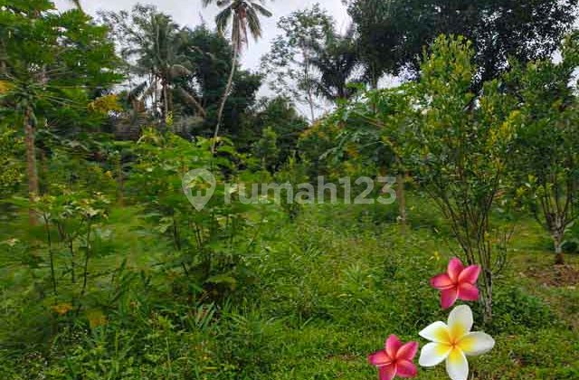 Land in Tegallalang-Ubud, area 150, suitable for investment (Jtu 1150).
