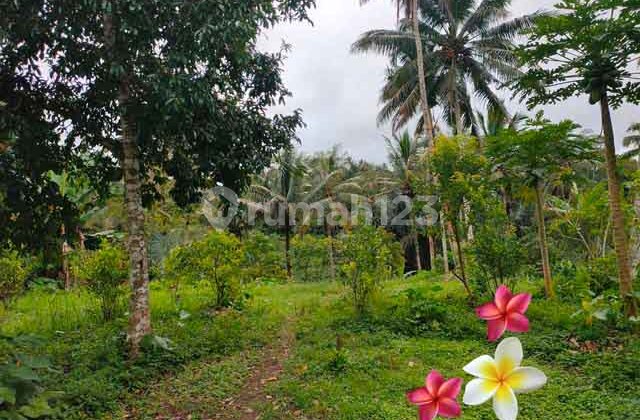 Tanah, di Ubud-Tegallalang Luas 150 Are (Jtu 1150) Cocok Villa Tanah, di Ubud-Tegallalang Luas 150 Are (Jtu 1150) Cocok Villa