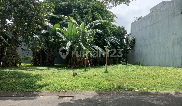 Tourist City Cheap Lot Good Spacious Strategic Land 240 Ready to Negotiate
