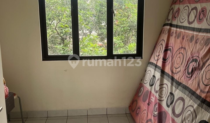 Legend of Travel Minimalist House Cheap Good Neat LT 119 LB 160 2