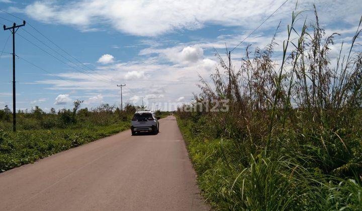 Dijual tanah di jalan pelang utama, ketapang, kalimantan barat 2