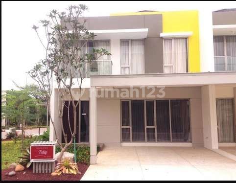 Dijual Rumah Cluster Cleveland Uk 8x10 Type Tulip Pik2 2