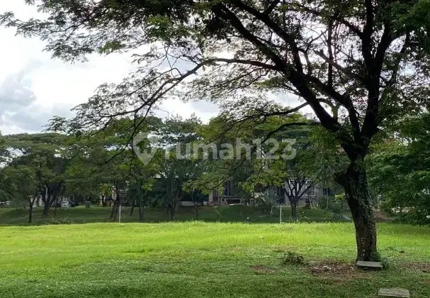 For Sale Ebony Plot Facing North Size 15x31.5, How PIK