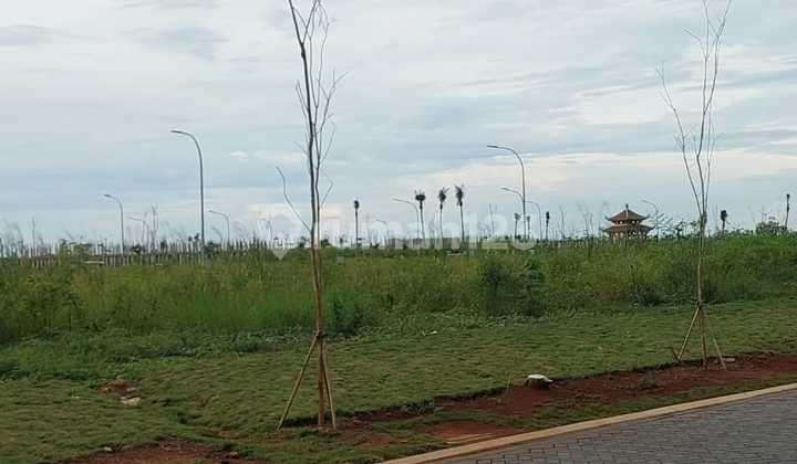 Fast Sale Cheapest Commercial Lot PIK 2