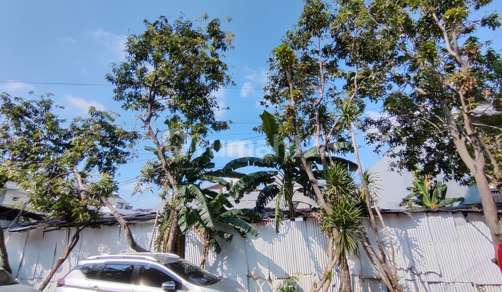 Jual Tanah Green Garden 597 M2 Hoek Harga Dibawah Njop Harga Bu