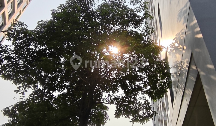 Sewa Apartemen Puri Mansion 1 Kamar Tidur 37 M2 Semi Furnish Mura