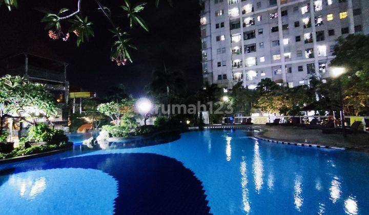 Sewa Apartemen Season City Studio 32 m2 Furnish 31 Juta/Tahun 1