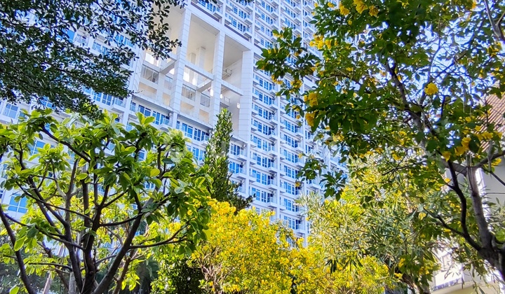 Sewa Apartemen Puri Mansion 2 Kamar Tidur Furnish Cakep 54 Juta 2