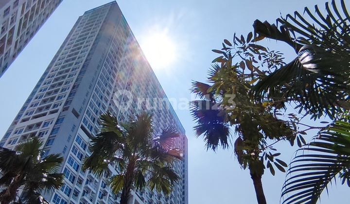 Sewa Apartemen Puri Mansion 2 Kamar Tidur Furnish Cakep 52 Juta 2