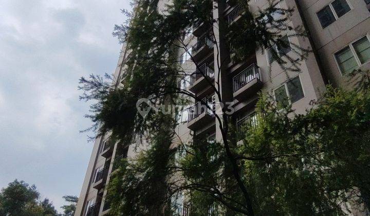 Sewa Apartemen Podomoro Golf View 2 Kamar Tidur Termurah 12 Jt 2