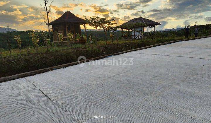 Tanah Kavling Termurah Lt 100 M2 Jalur Puncak 2 Bogor Jawa Barat 3