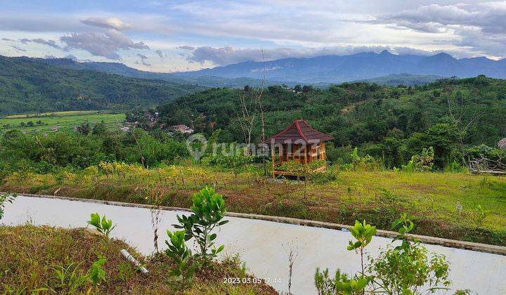 Tanah Kavling Termurah Lt 100 M2 Jalur Puncak 2 Bogor Jawa Barat 9