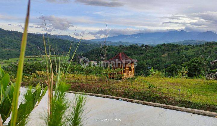 Tanah Kavling Termurah Lt 100 M2 Jalur Puncak 2 Bogor Jawa Barat 12
