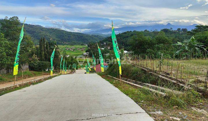 Tanah Kavling Termurah Lt 100 M2 Jalur Puncak 2 Bogor Jawa Barat 13