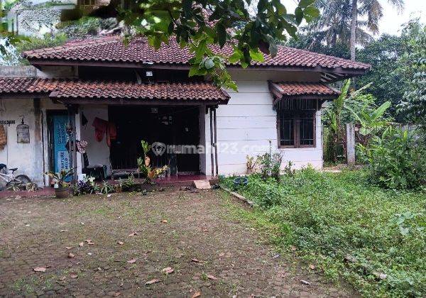 Rumah 50 Persen di Bawah Harga Pasar Lt 1506 M2 Rumah Dekat Kantor Kec Ciseeng Bogor Jawa Barat 1