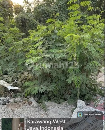 Dijual Tanah Karawang Timur 1.7 Hektar SHM 