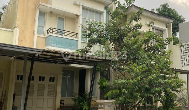 For Quick Sale: Chrysocola Phg. Gading Serpong