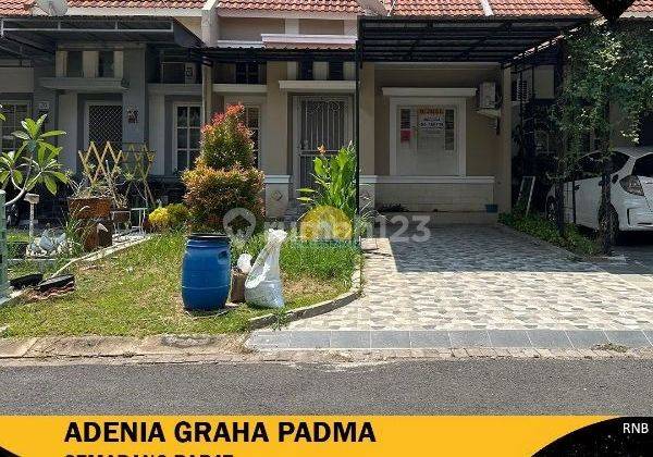 Rumah Siap Huni di Cluster Avenia Graha Padma 1