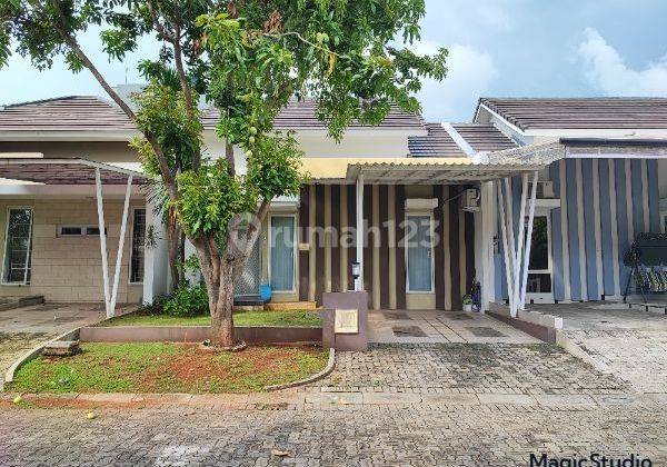 Rumah Cluster Bagus Siap Huni di Rafflesia Graha Padma 1