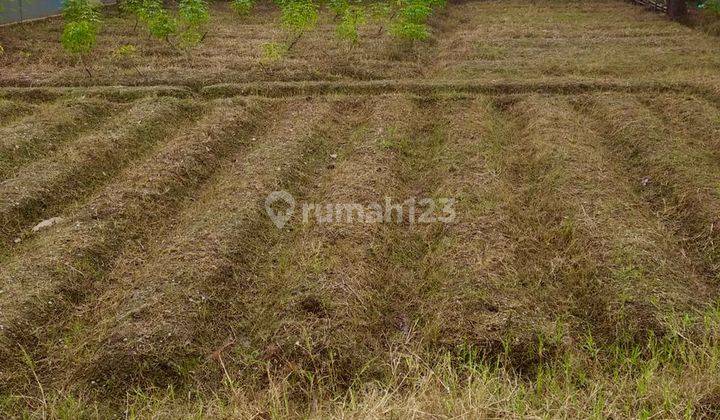 Dijual Tanah Tepi Jalan Area Cipanas Bogor 4