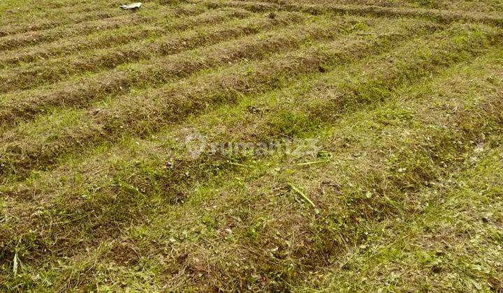 Dijual Tanah Tepi Jalan Area Cipanas 100m Pasar Gsp Ciganjur 2