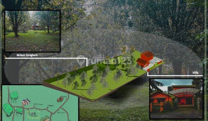 Rumah Villa Dan Kebun Besar Raya Trawas Mojokerto  1