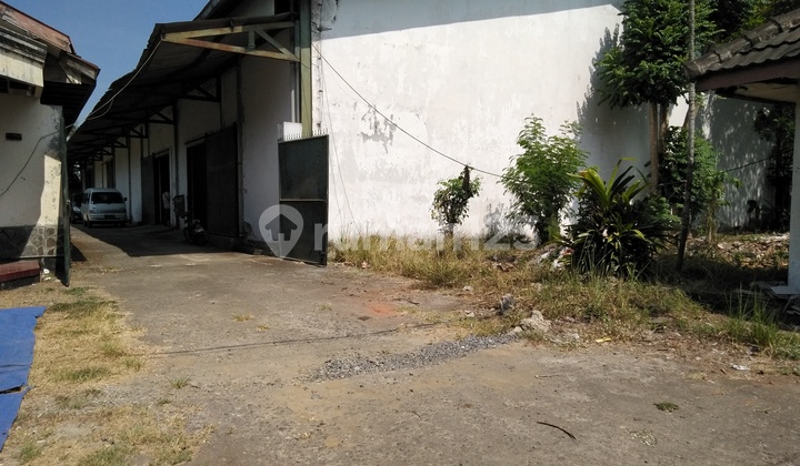 Sewa Gudang Kaliwates Jember, Cocok Untuk Distributor 6