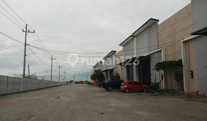 Warehouse 200 meters from Cerme toll gate exit. Warehouse 200 meters from Cerme toll gate exit.