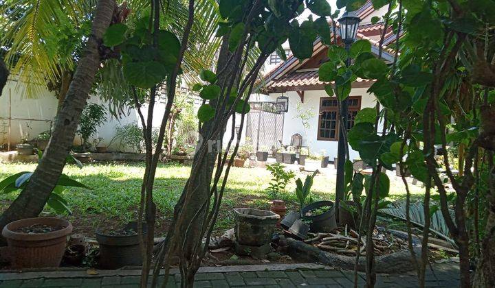 Rumah Termurah 651m2  Di Jl Wijaya Kusuma Iiia Pd Labu 1