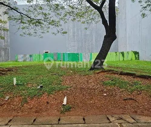 Sold Very Fast Ebony Golf Lot PIK Most Elite Cluster