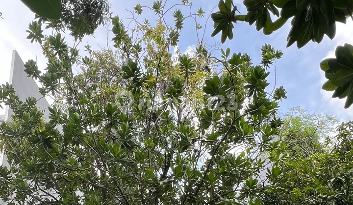 For Sale Very Fast Cheapest Residential Plot Katamaran Permai