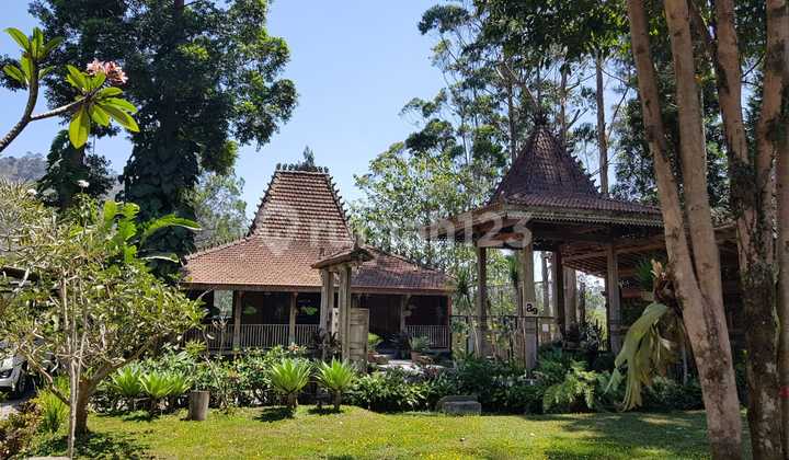 Rumah Kayu Dikawasan Alam , , Bebas Polusi Di Lembang Bandung 2