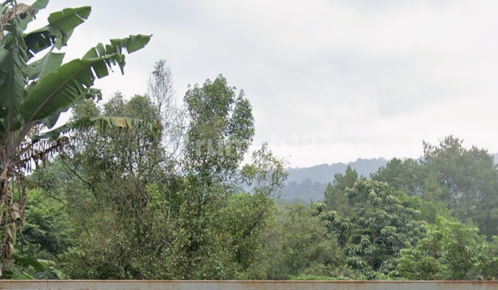 Disewakan Tanah Tipe Turun View Tahura Cocok Utk Cafe,padel Dll Disewakan Tanah Tipe Turun View Tahura Cocok Utk Cafe,padel Dll