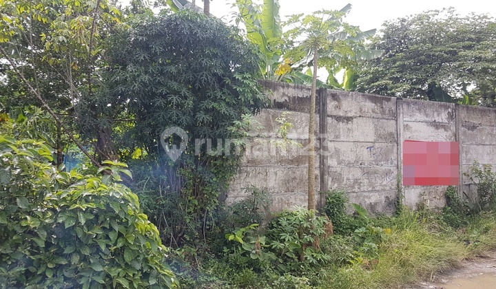 Tanah Cisauk Jual Cepat Lokasi Sangat Bagus Strategis .yl