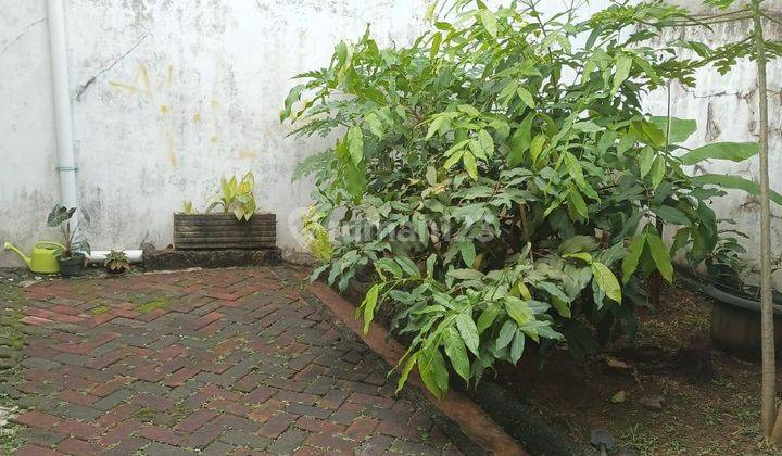 Dijual Cepat Rumah Rapih Dan Nyaman Di Taman Crysant 1 Bsd .lny 4