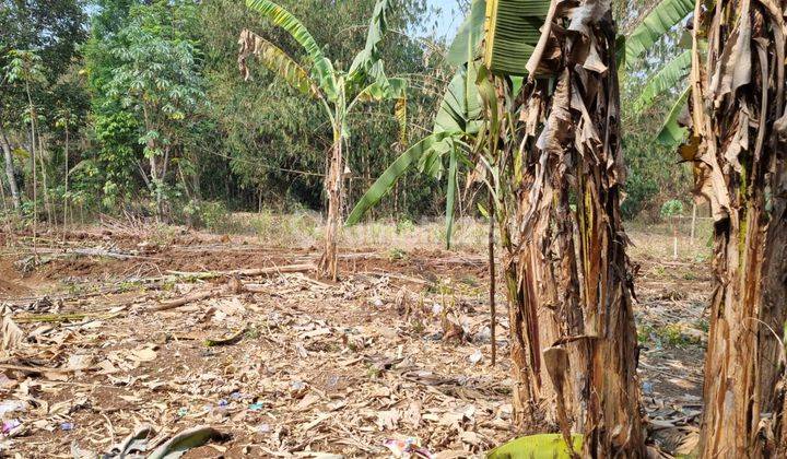 Tanah di Jual Cocok Utk Gudang Or Perumahan Di Cibogo Cisauk 2