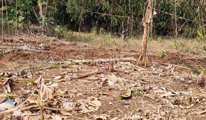Tanah di Jual Cocok Utk Gudang Or Perumahan Di Cibogo Cisauk 1