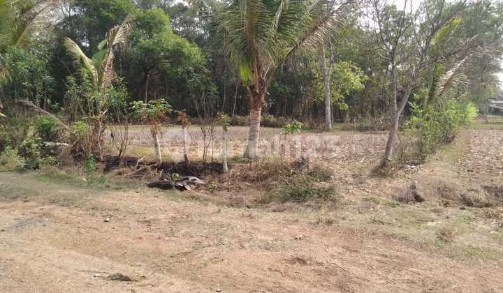 Dijual Cepat Bu Tanah Industri Kav.mabes Margasari Tigaraksa