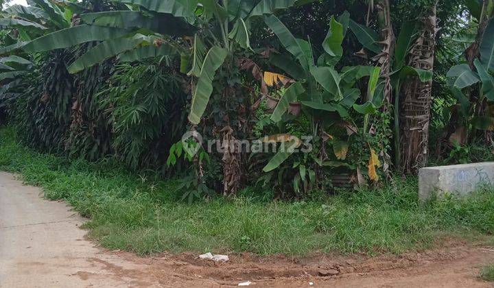 Tanah Barengkok Jasinga Bogor Lokasi Bagus Strategis Jalan Cor 2