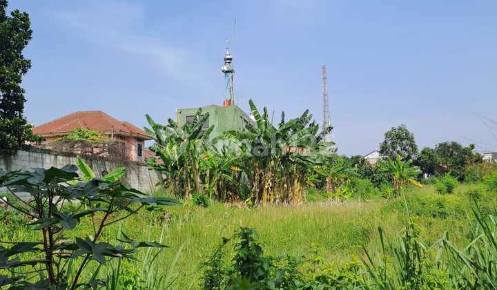 Commercial Plot Pamulang Area 1 Hectare Suitable for Restaurant Gas Station