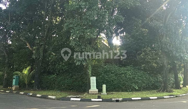 RUMAH TUA HARGA INVESTOR HITUNG TANAH CUMA 12jt/m² POSISI BAGUS