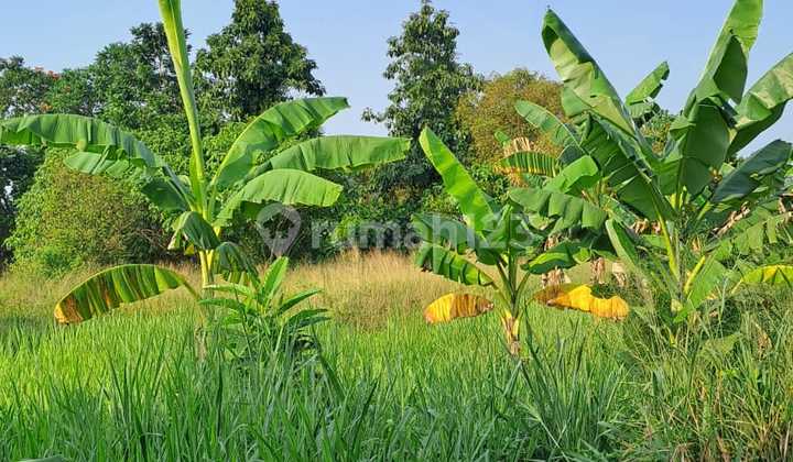 LAND PLOT NEAR THE MAYOR'S OFFICE Suitable for building housing LAND PLOT NEAR THE MAYOR'S OFFICE Suitable for building housing