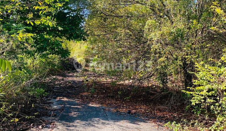 Kavling Residensial di Taman Simpruk Lippo Cikarang