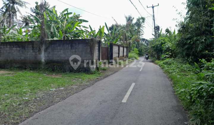 Tanah:1900 M2( 19 Are) Super Langka Siap Bangun Di Lodtunduh Ubud Gianyar Bali  1