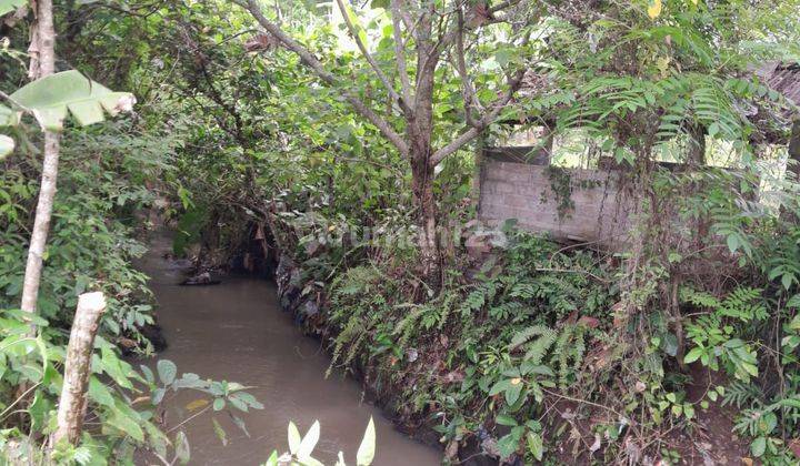 Tanah Kavlingan Villa Super Langka Siap Bangun Dekat Pantai Kedunggu Di Desa Nyetdah Tabanan Bali 2