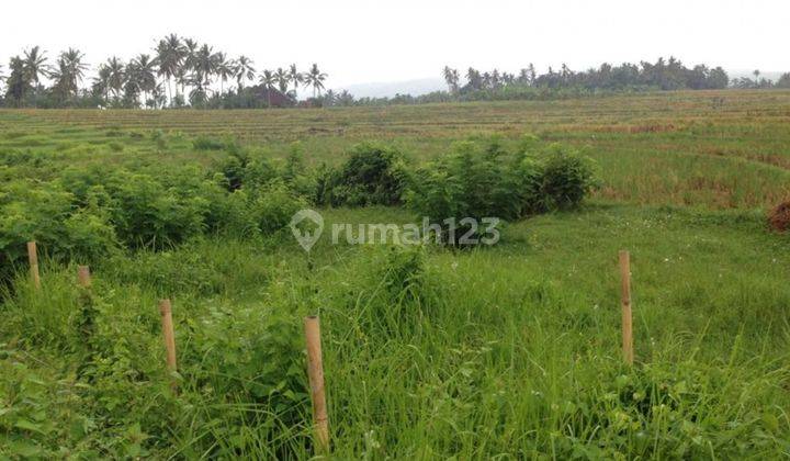 Tanah:400 M2(4 Are) Super Langka Siap Bangun Dekat Pantai Soka Tabanan Bali  2