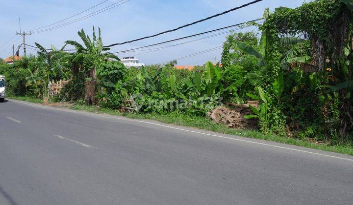 Tanah:500 M2(5 Are) Super Langka Siap Bangun Di Jln Utama Munggu Kapal Badung Bali  1