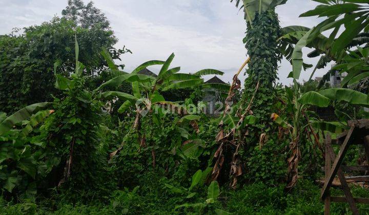 Tanah:180 M2(1,8 Are ) Full View Sawah Siap Bangun Di Jln Padonan Tibubeneng /pengilian Badung Bali 2
